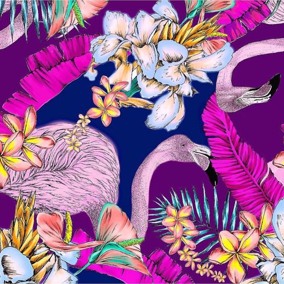 f76f0f47e4e812635d5c666e0e7db54c